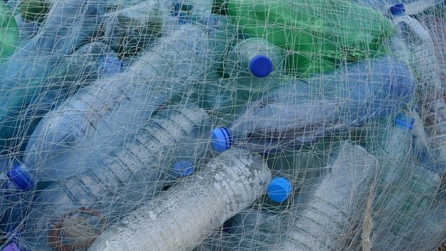 Prioritou ekodohovoru by podľa Slovákov mal byť boj proti plastom